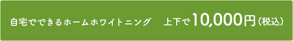 自宅でできるホームホワイトニング 上下で10,000円